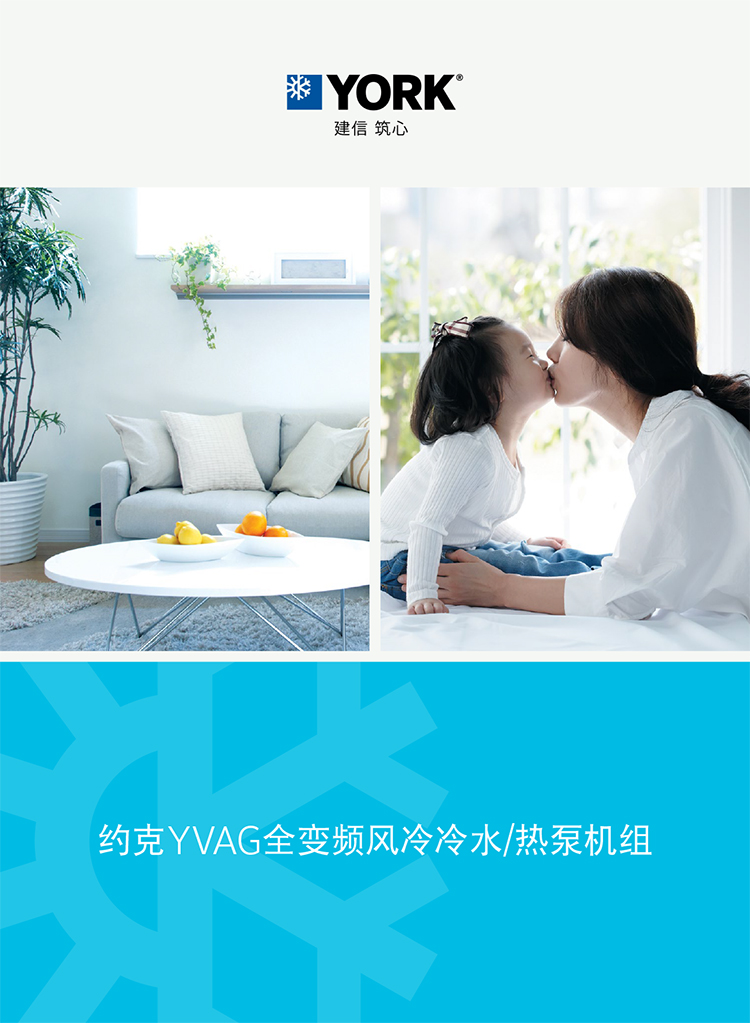約克全變頻風(fēng)冷熱泵機組