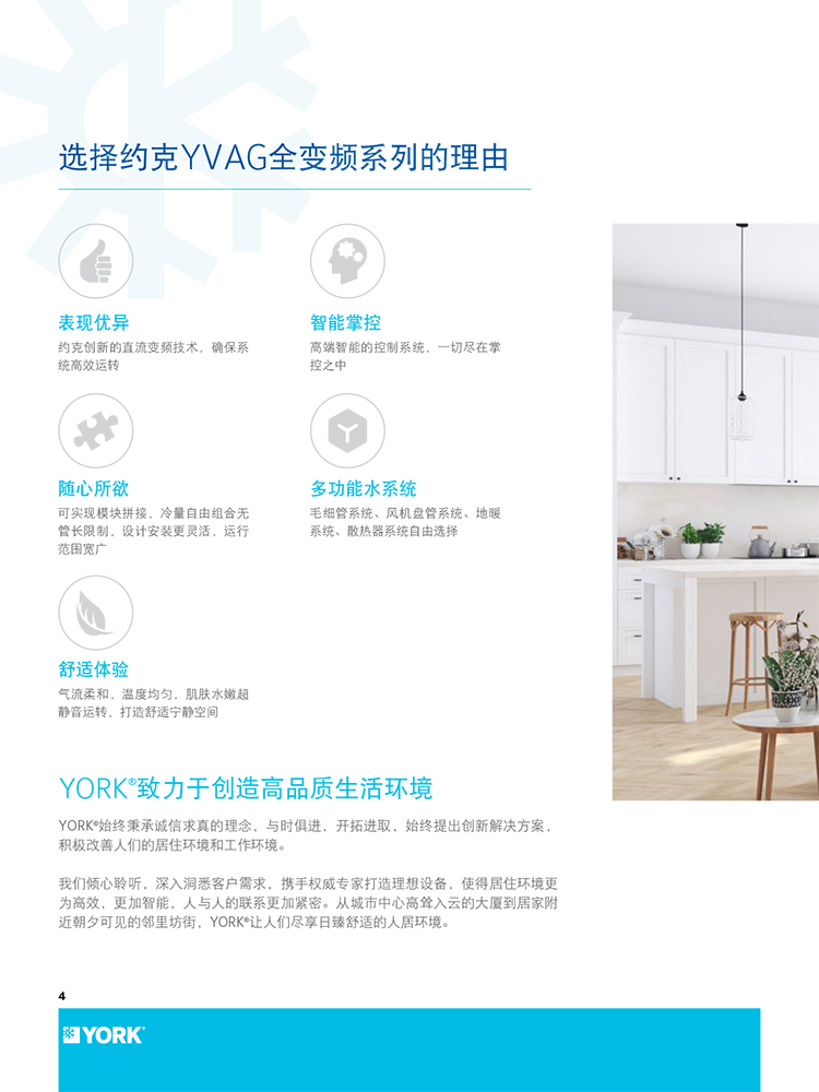 約克全變頻風(fēng)冷熱泵機組